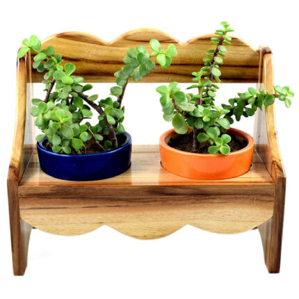 Quaint Wooden Bench 2 Pot Planter
