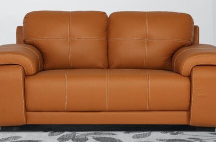 Max 2 Seater Sofa in Tan Colour